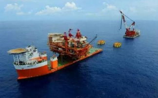 碧海藍(lán)天間的“巨樹”如何生根——揭秘海上風(fēng)電場(chǎng)的建設(shè)全過程