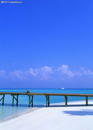 海上度假與陸路貨運 現(xiàn)代生活方式的多元畫卷