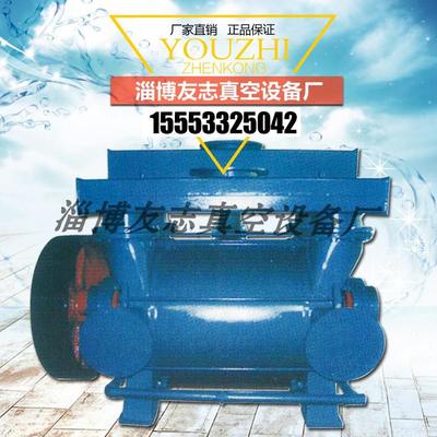 淄博友志2BEC系列水環(huán)真空泵 廠家直銷與高端定制的工藝標(biāo)桿